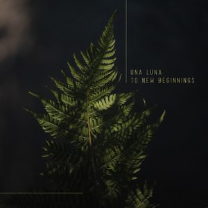 国产精品高清a?v
