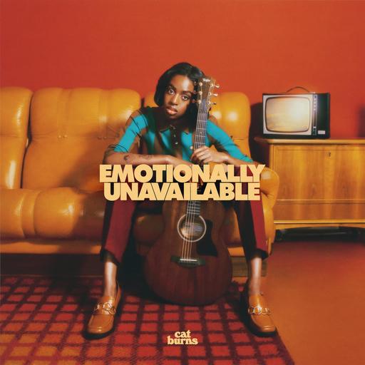 国产精品高清a?v
