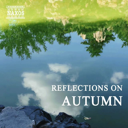 国产精品高清a?v
